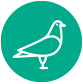Icono Palomas