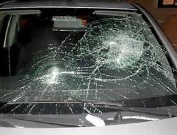 'Declaración Institucional en apoyo a Zaproreak' irudia