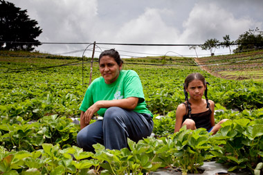 'Mundubat y Veterinarios Sin Fronteras. 2014' irudia