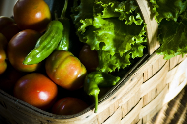 'Elikadura burujabetza Donostiako elkarte gastronomikoetan. 2017' irudia