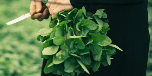 'Empoderamiento  de la población rural palestino. 2020' irudia