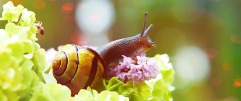 'Ocio consciente. 2020' irudia