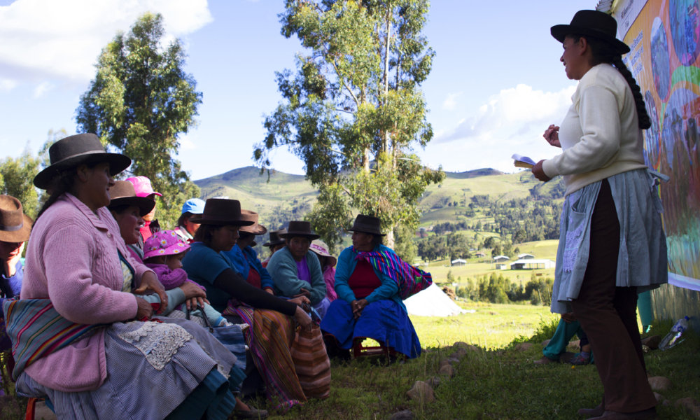 'Sexualidad, Género y Desarroll. 2017' irudia