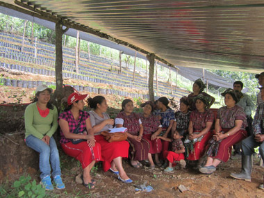 'Mugen Gainetik, Guatemala. 2015' irudia