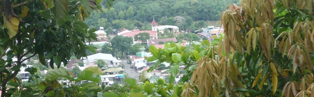 'Elikadura Segurtasunerako laguntza' irudia