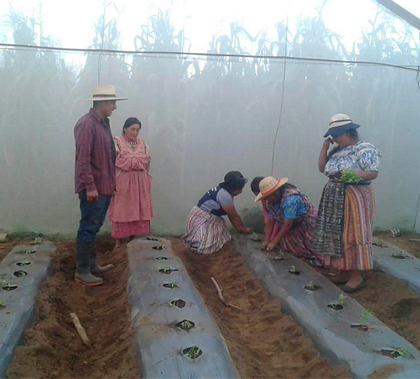 'Lurraldea babestu eta ingurumenari eutsi. 2019' irudia