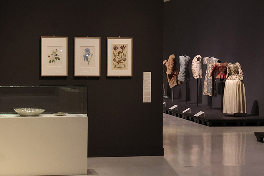 Visita guiada: 'Vistiendo un jardín'