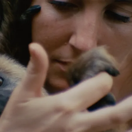 'Monólogo colectivo'