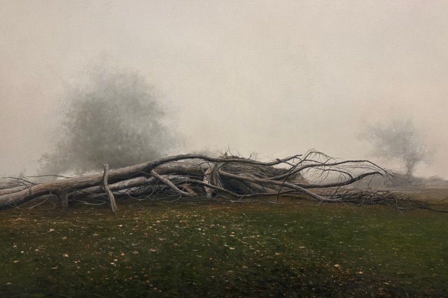 Jesús Mansé: 'El tiempo vuela pero, a veces, se posa'