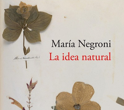 Presentación de libro: 'La idea natural'