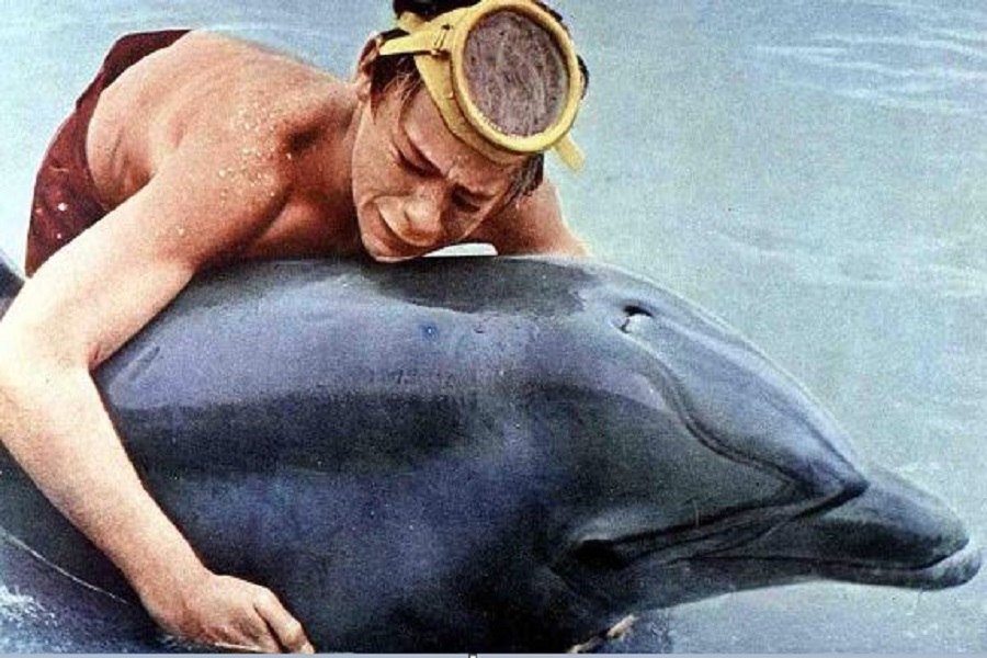 Haur zinema: 'Flipper'