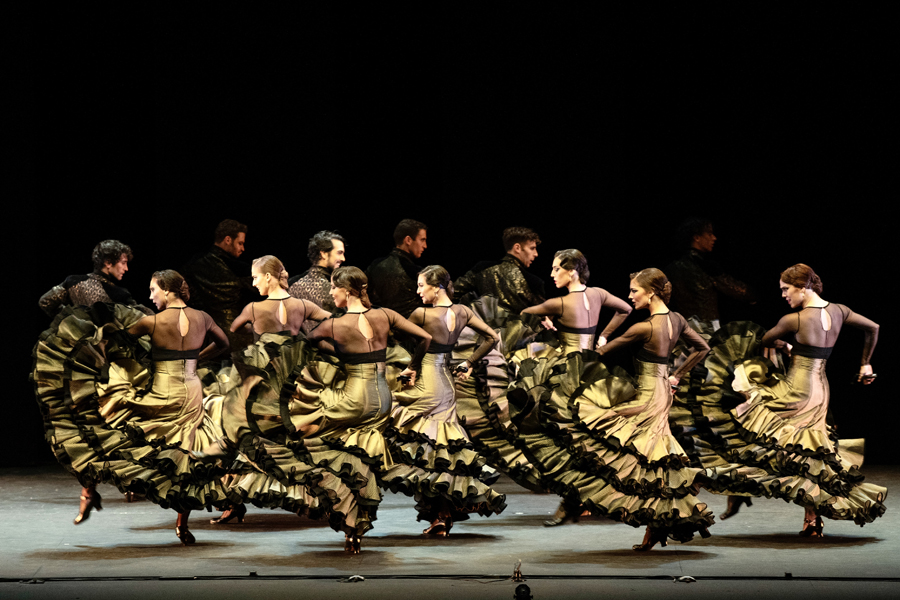 Danza: 'Querencia'