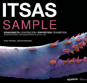 Bisita gidatua erakusketa: 'Itsasample'