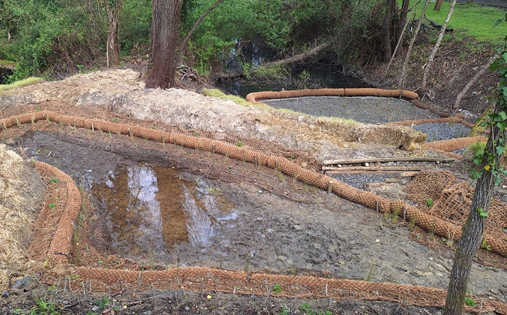Foto: El ayuntamiento ha finalizado los trabajos de renaturalización de la aliseda y el humedal de Ibaeta