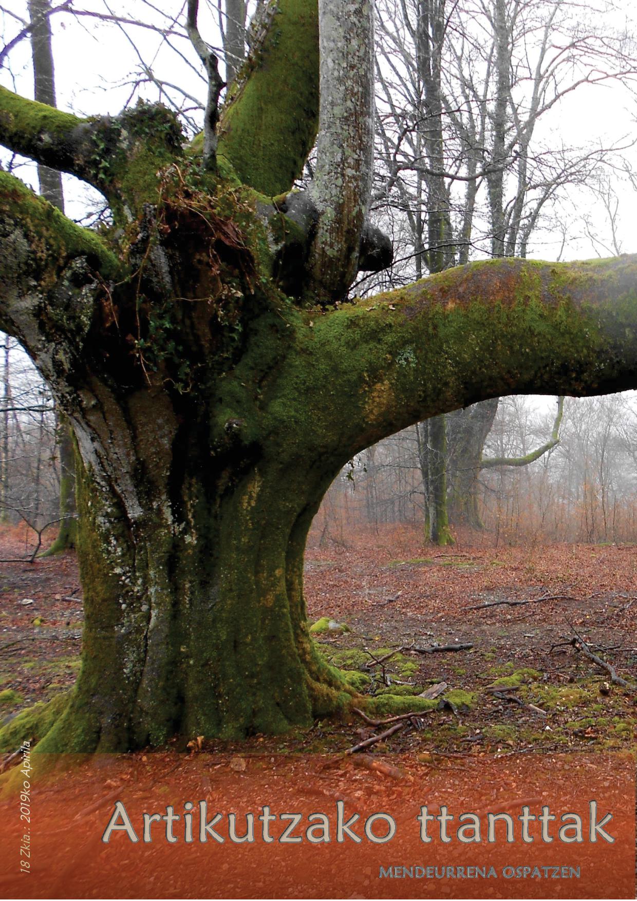 Portada Artikutzako ttanttak