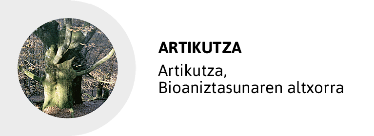 ARTIKUTZA