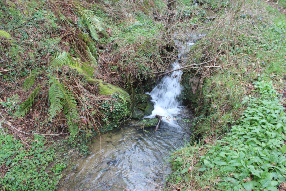 Igeldo-Mandizorrotz: Errekak