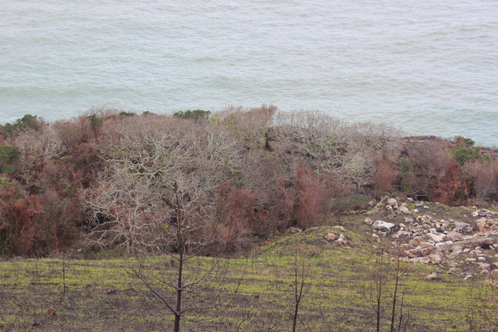 Igeldo-Mandizorrotz: Labarrak