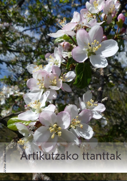 Portada Artikutzako ttanttak