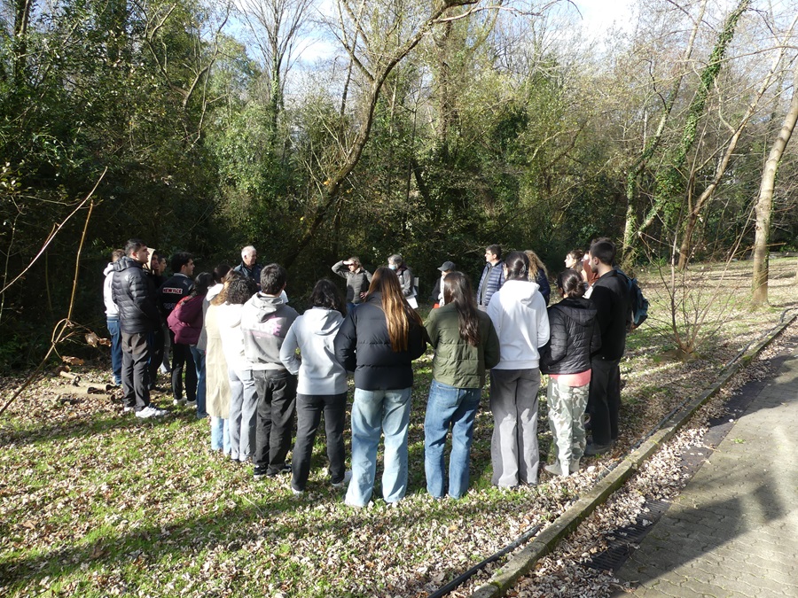 Foto: Proyecto de gestión ambiental sostenible de las aguas pluviales y regatas de San Sebastián