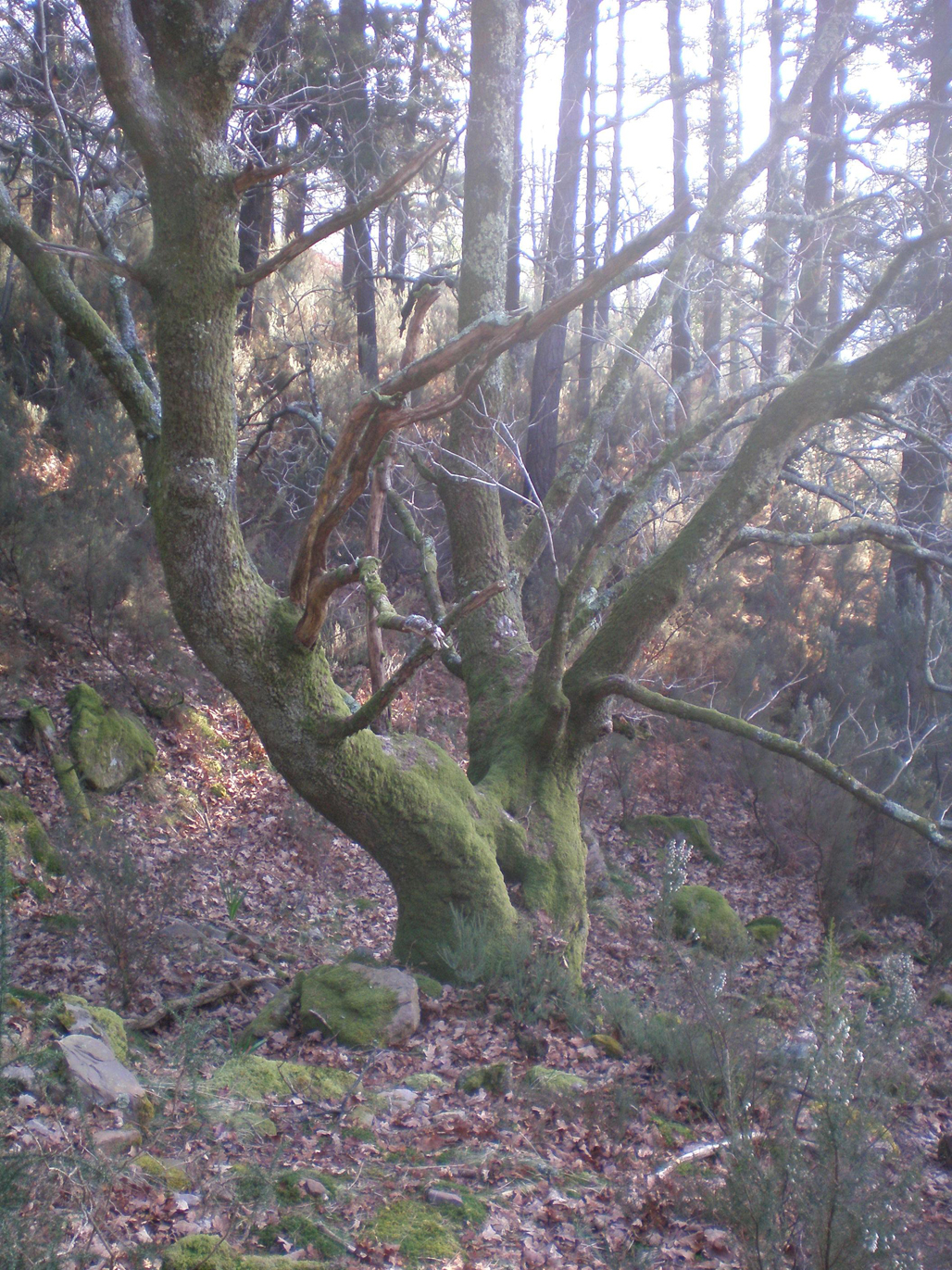 Irudia 9