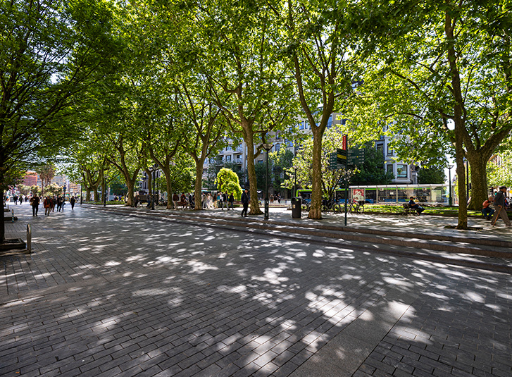 Boulevard zumardia zuhaitzen itzalpean