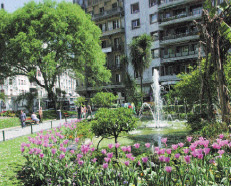 zaragoza-plaza-parkea