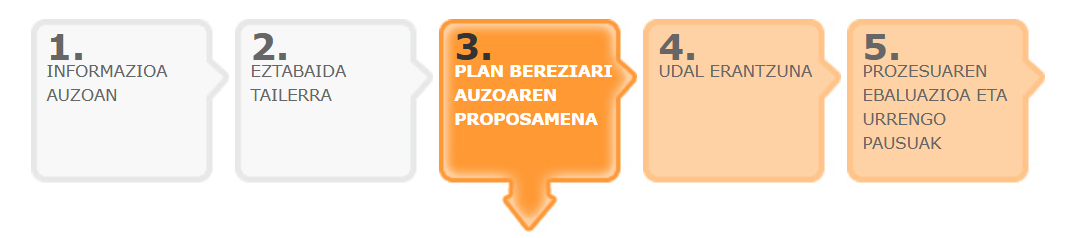3. urratsa prozesu parte-hartzailea: Auzoaren proposamena Plan Berezirako