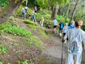 nordic walking