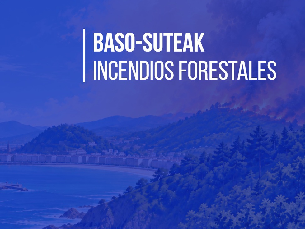 baso suteak