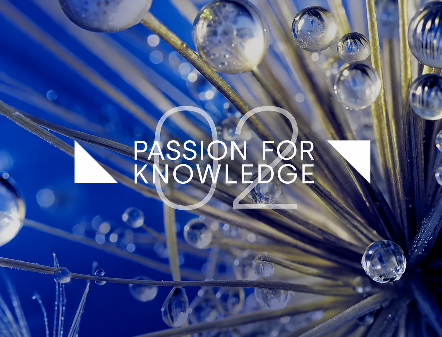 'Passion for Knowledge' 
