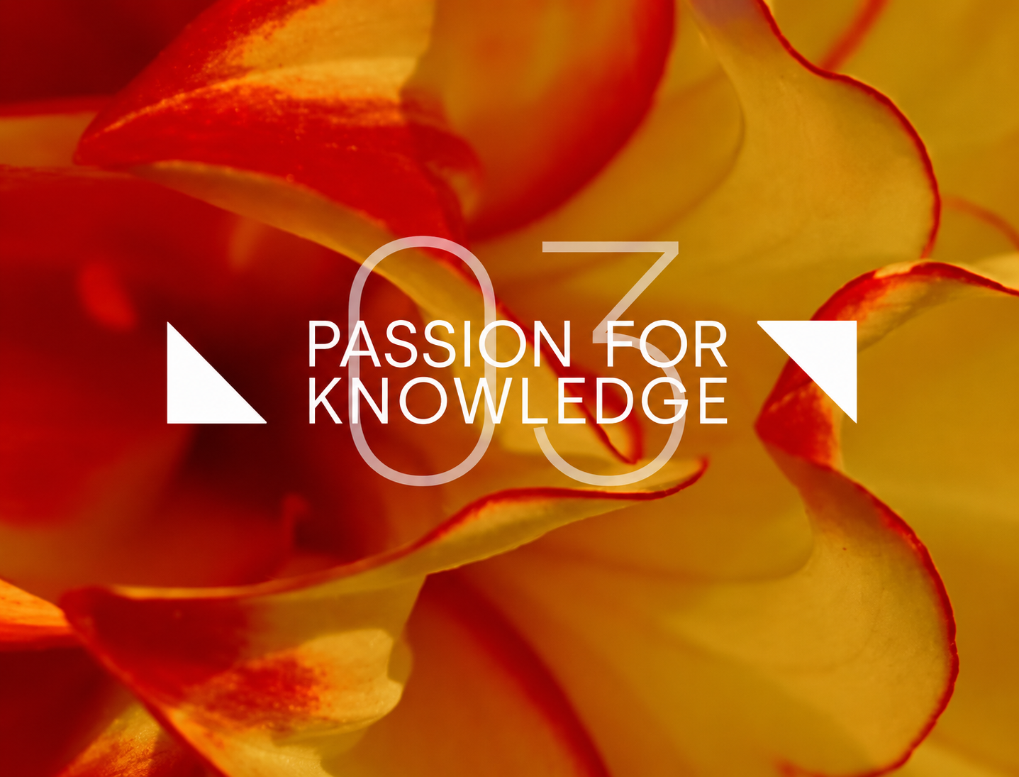 'Passion for Knowledge' 