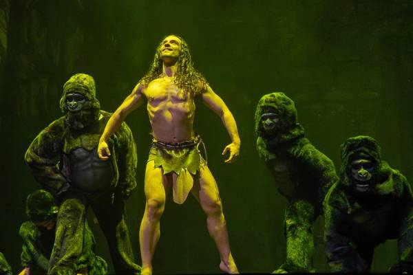 Tarza el musical