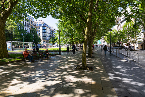 Boulevard zumardia zuhaitzen itzalpean
