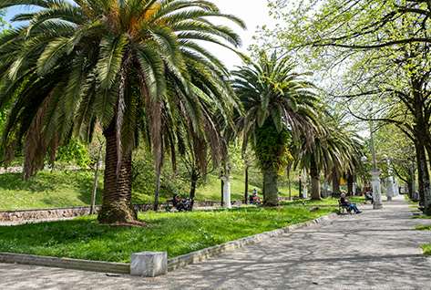 Harria parkean dagoen pasealeku bat