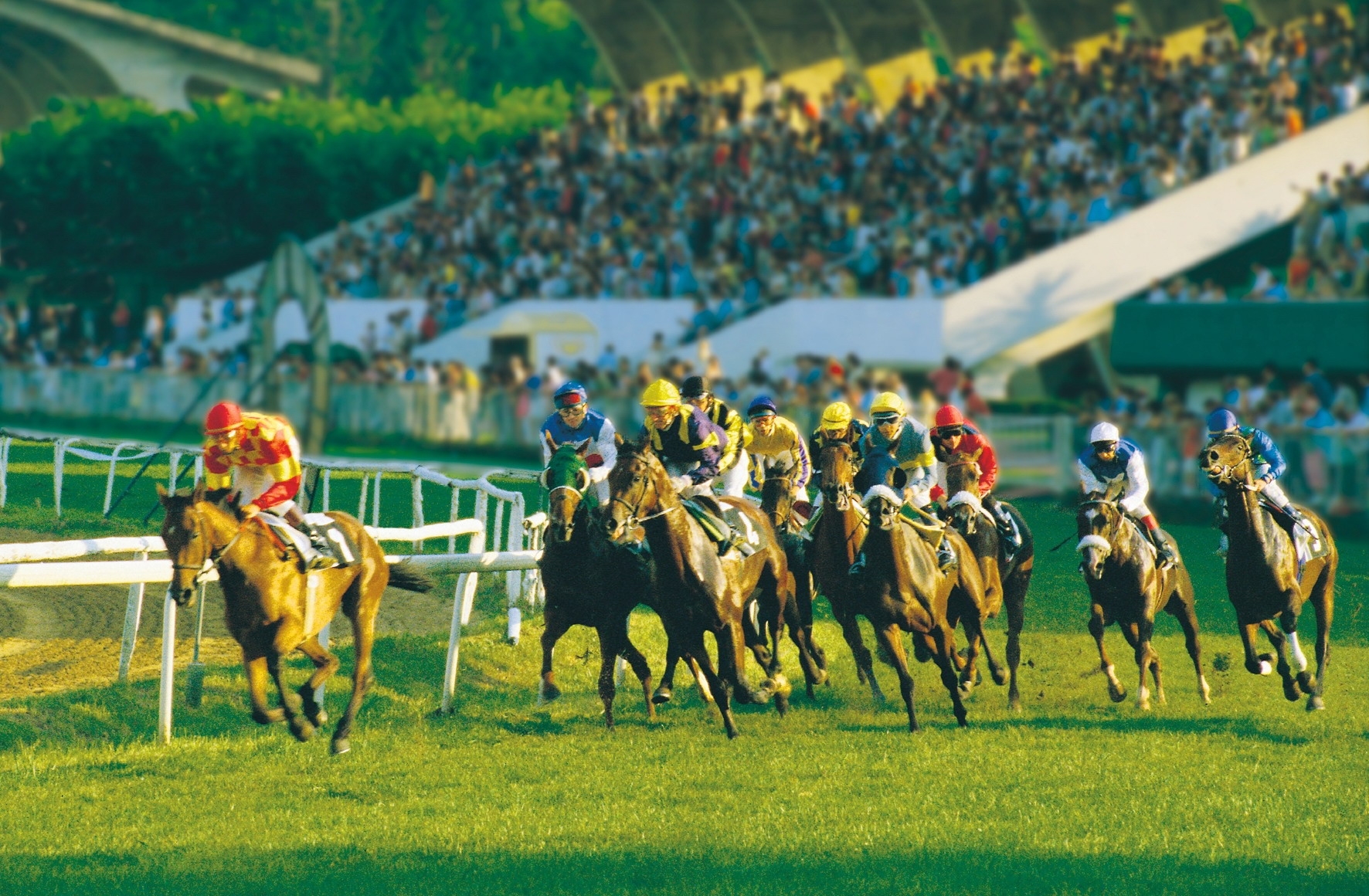 Carrera de caballos- Criterium Internacional Casino Kursal